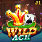 Wild Ace casino online game slot